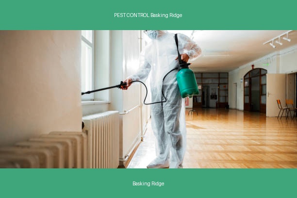 PEST CONTROL Basking Ridge